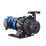 黄色网站麻豆型号