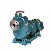 买自吸黄色网站麻豆就选专业厂家吧